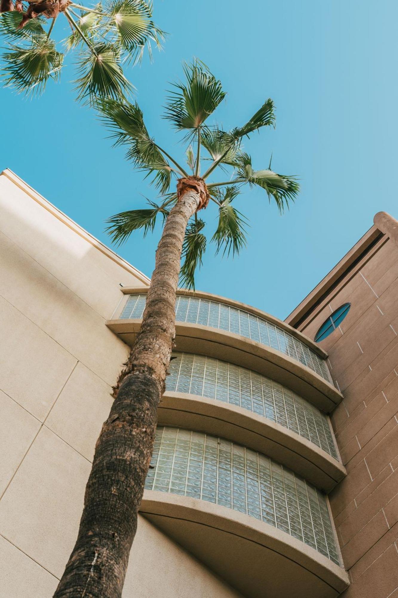 Courtyard By Marriott Los Angeles Lax / Century Boulevard Dış mekan fotoğraf
