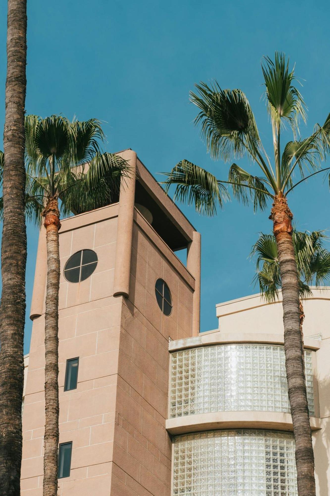 Courtyard By Marriott Los Angeles Lax / Century Boulevard Dış mekan fotoğraf